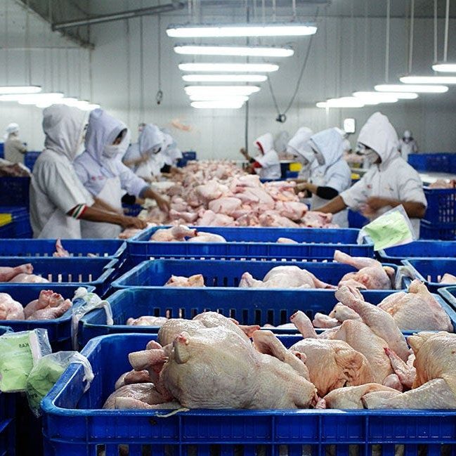 0 xidz23drwkiqh uf 649x649